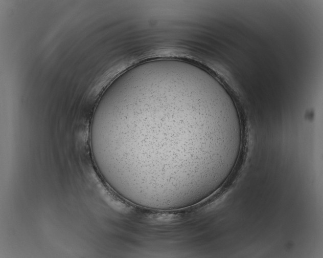 X0000110710841200906261429