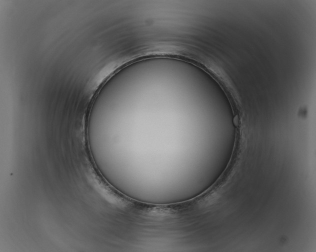 X0000110710842200906261429