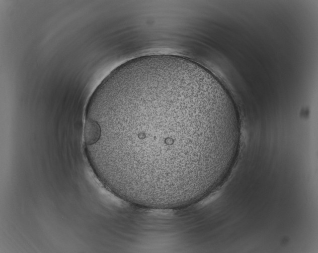 X0000110710844200906261429