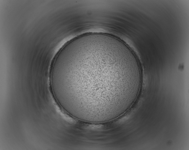 X0000110710845200906261429