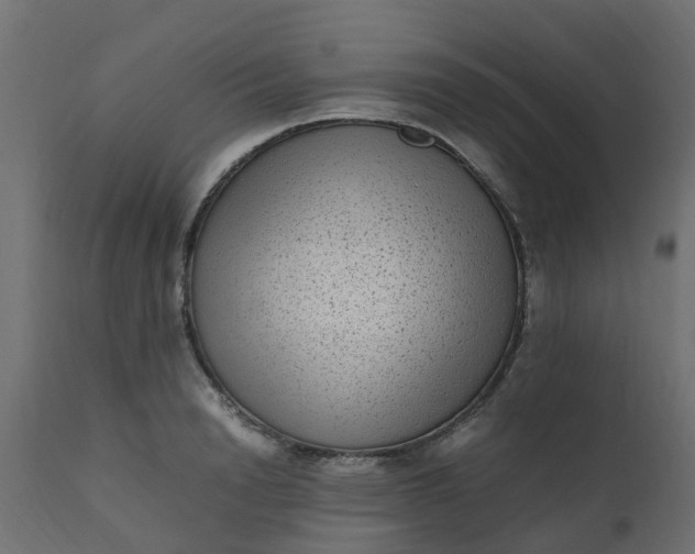 X0000110710846200906261429