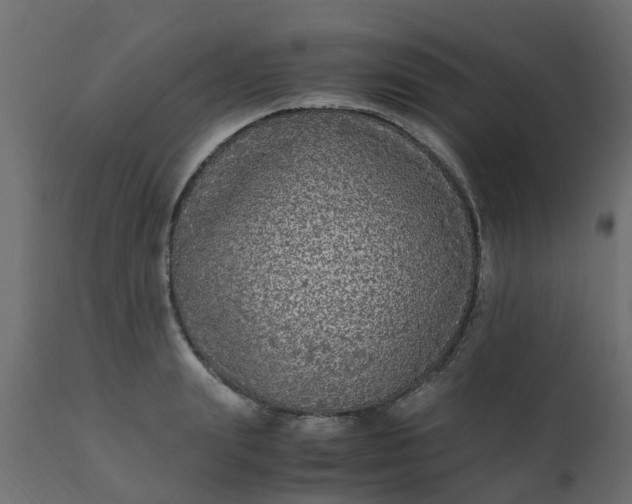 X0000110710847200906261429