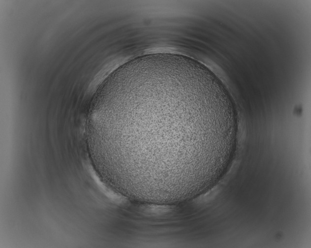X0000110710849200906261429