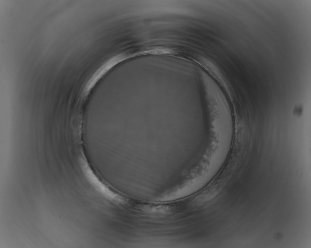 X0000110710851200906261429