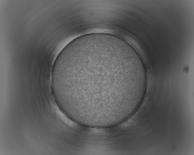 X0000110710852200906261429