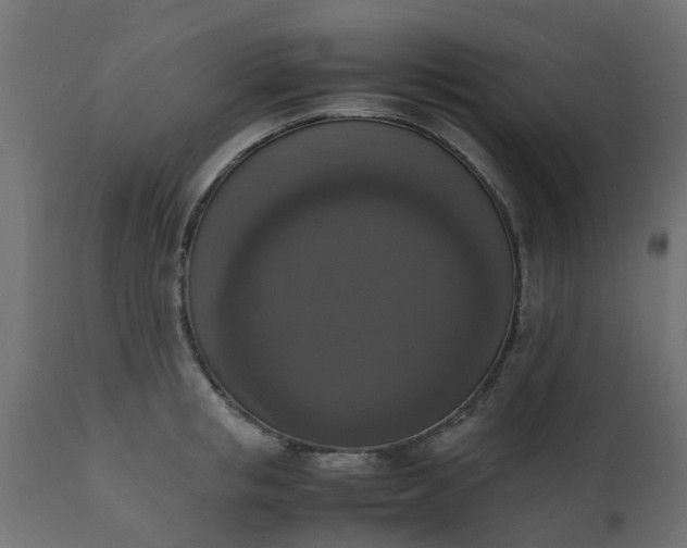 X0000110710853200906261430