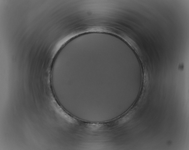 X0000110710854200906261430