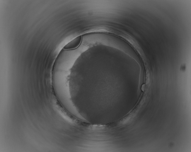 X0000110710858200906261430