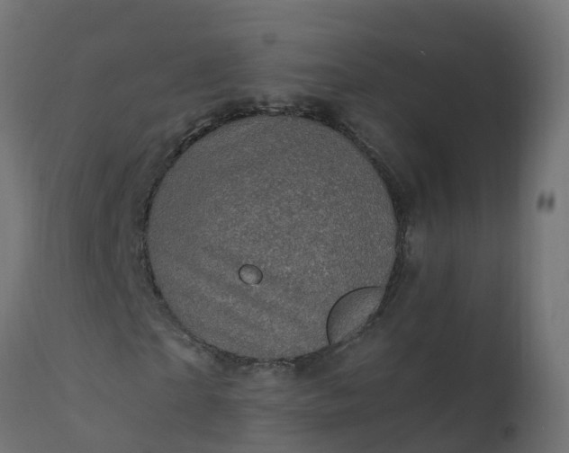 X0000110710865200906261429