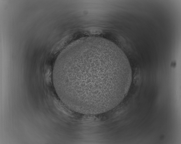 X0000110710866200906261429