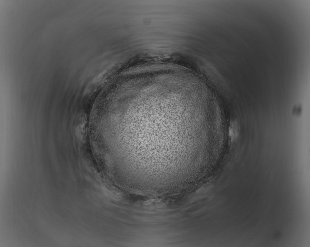 X0000110710867200906261429