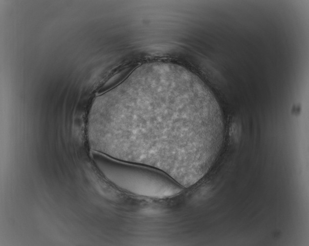 X0000110710868200906261429