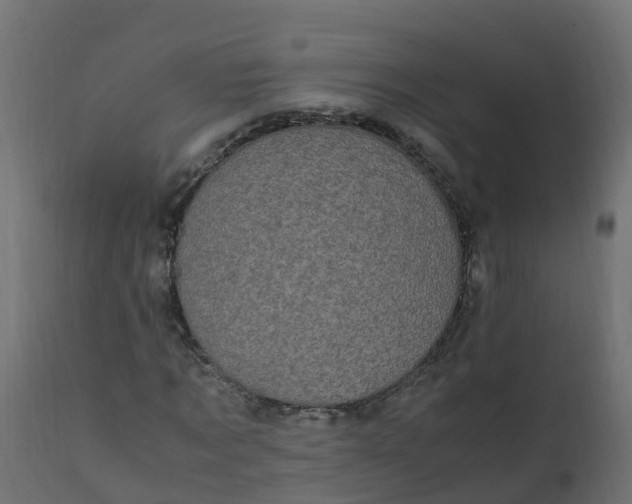X0000110710869200906261429