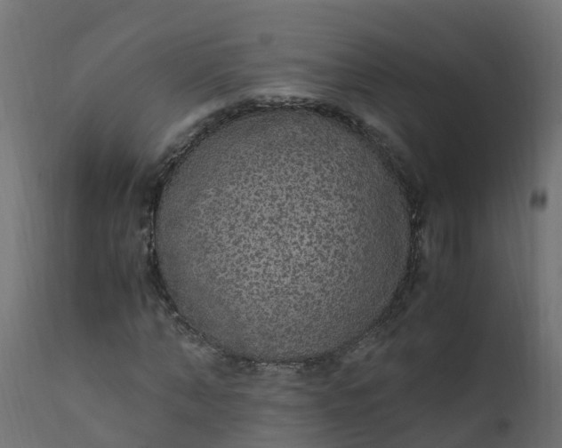 X0000110710870200906261429