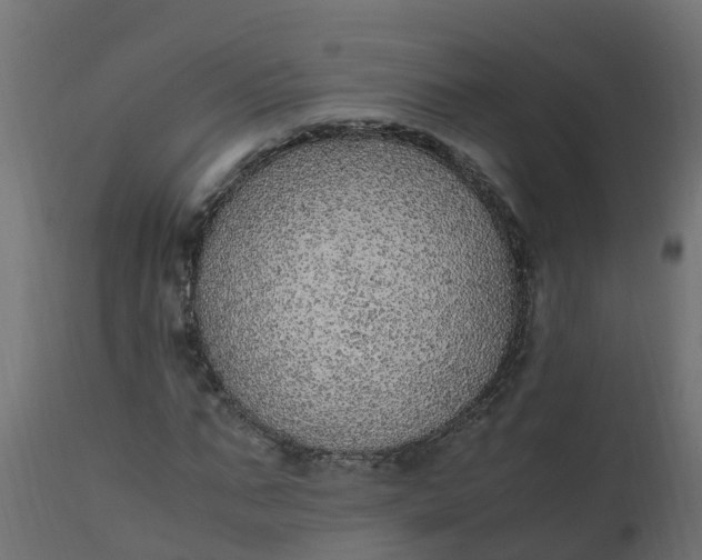 X0000110710871200906261429