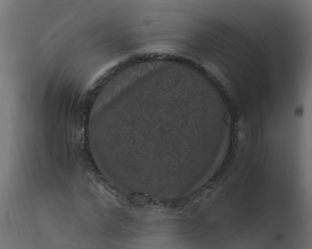 X0000110710872200906261429