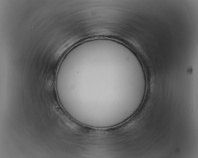 X0000110710873200906261429
