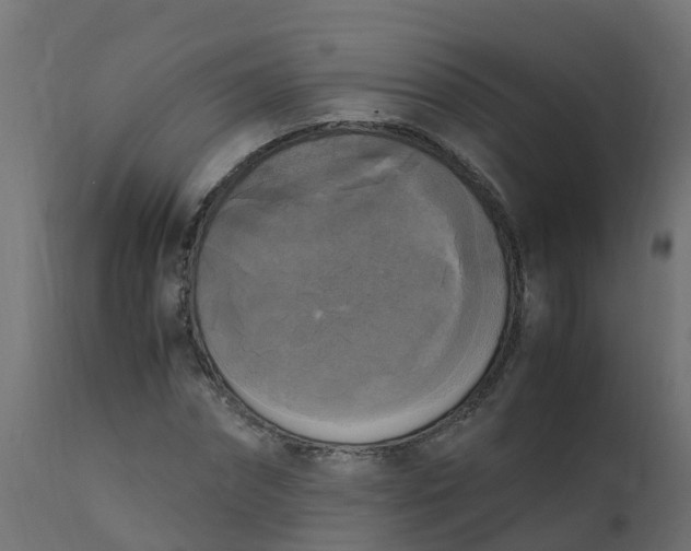 X0000110710874200906261429