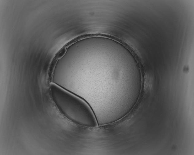 X0000110710876200906261429