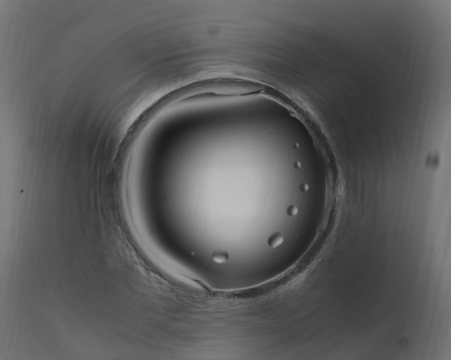 X0000110710877200906261429