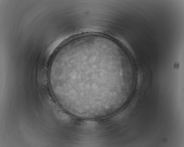 X0000110710878200906261429