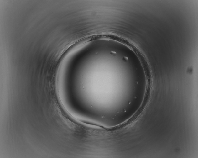 X0000110710881200906261429