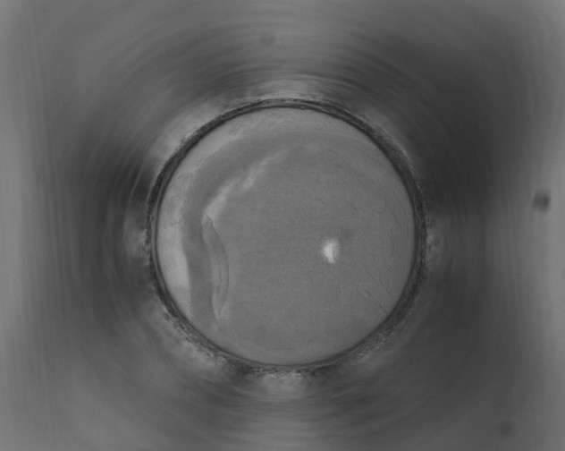 X0000110710882200906261429