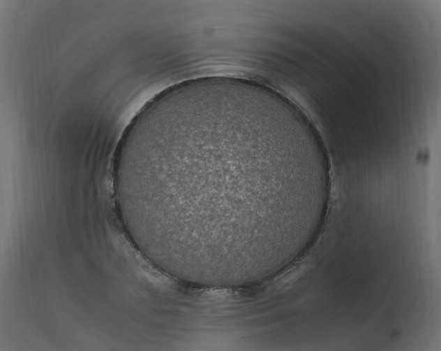 X0000110710883200906261429
