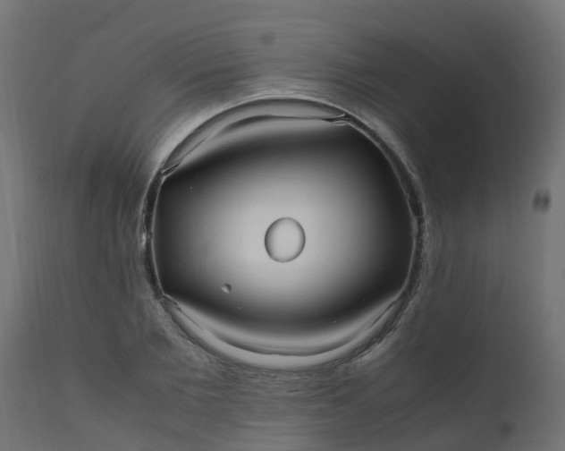 X0000110710885200906261429