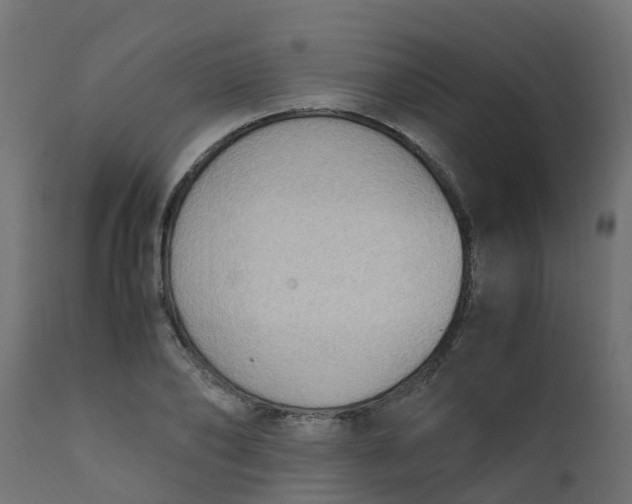 X0000110710886200906261429