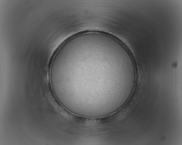 X0000110710887200906261429