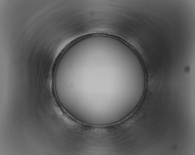 X0000110710888200906261429