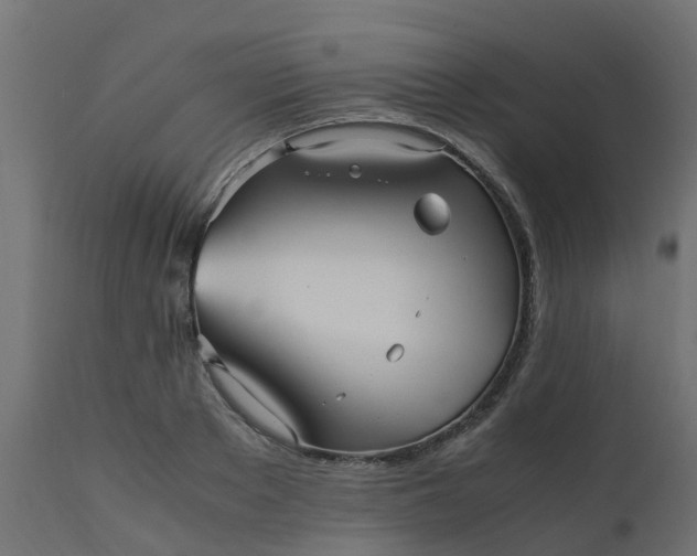 X0000110710889200906261429