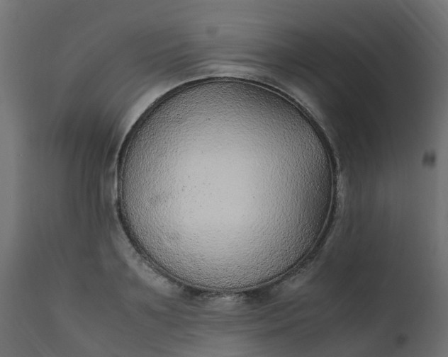 X0000110710891200906261429