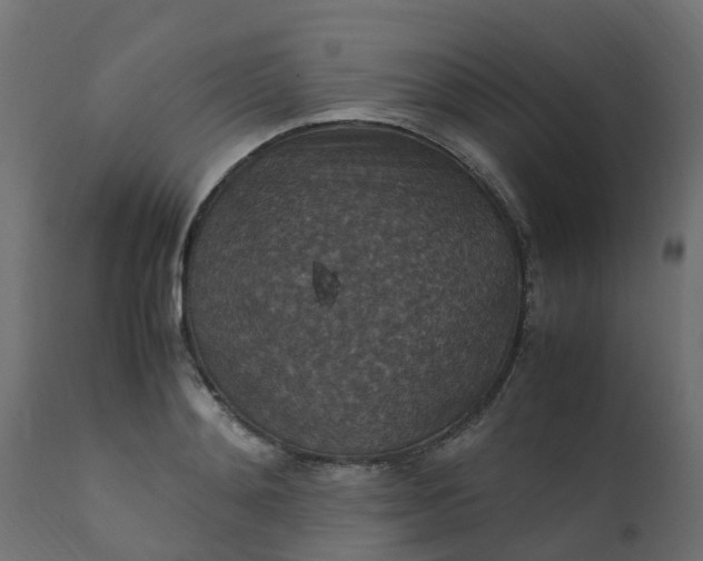 X0000110710892200906261429
