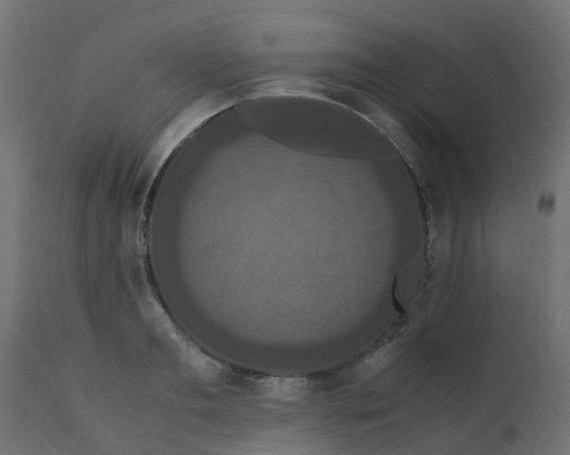 X0000110710893200906261429