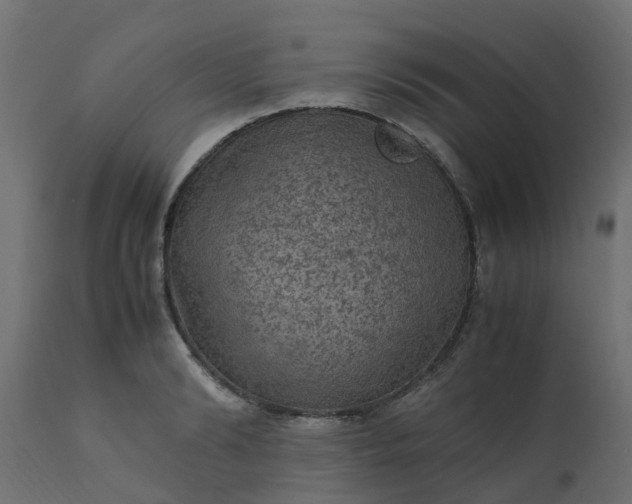 X0000110710894200906261429