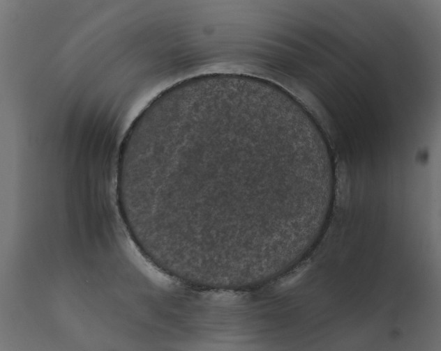 X0000110710896200906261429