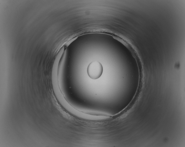 X0000110710897200906261429