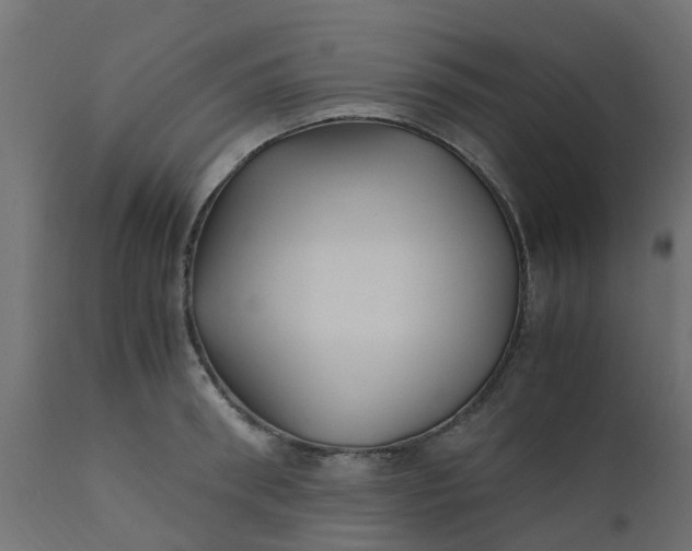X0000110710898200906261429