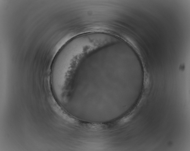 X0000110710899200906261429