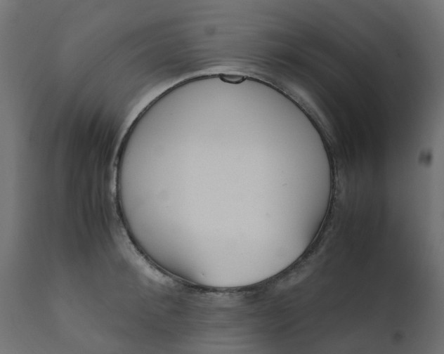 X0000110710900200906261428