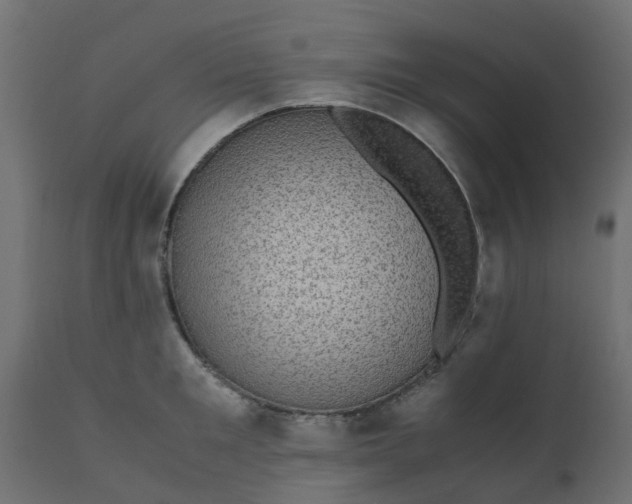 X0000110710901200906261428