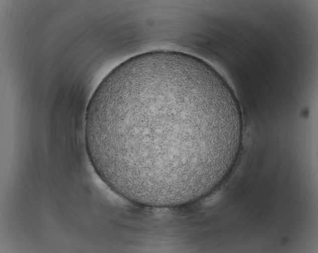 X0000110710903200906261428