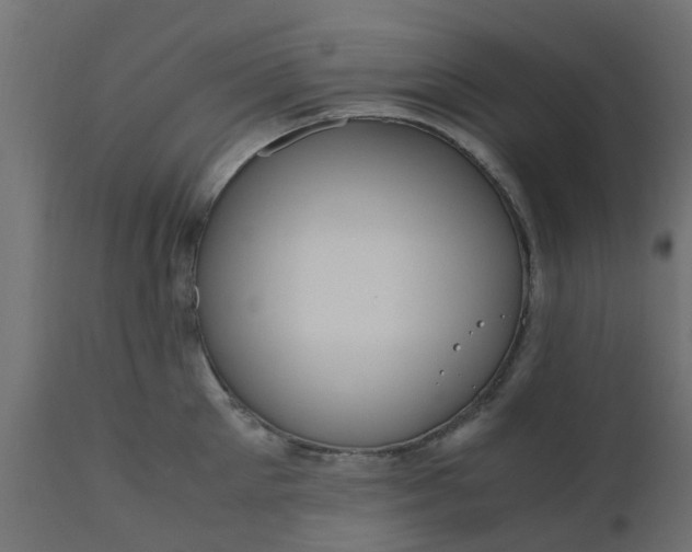 X0000110710905200906261428