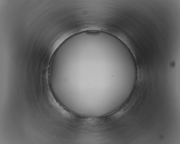 X0000110710906200906261428