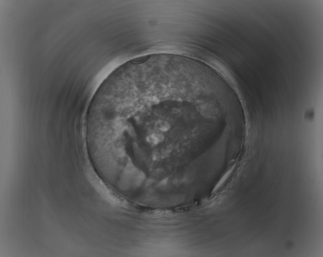 X0000110710907200906261428