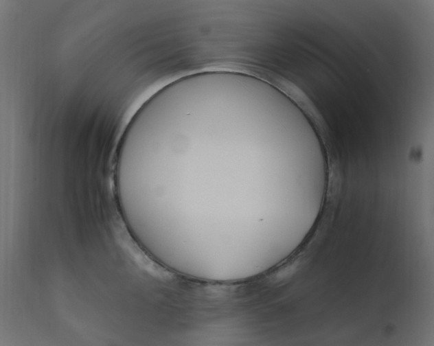 X0000110710908200906261428