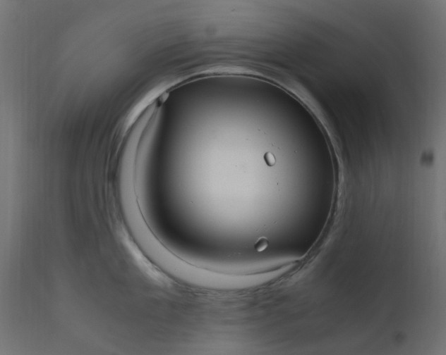 X0000110710909200906261428
