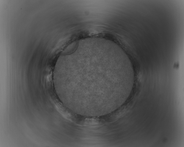 X0000110710914200906261427